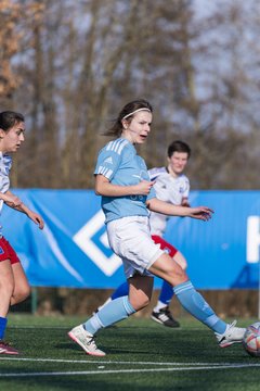 Bild 253 - F Hamburger SV 3 - Blau-Weiss 96 : Ergebnis: 5:1